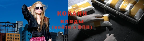 соль ск Бородино