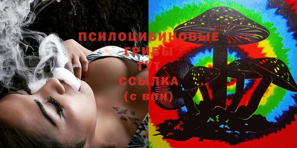 соль ск Бородино